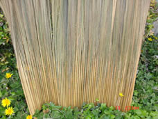 FP-RFF-4 (Open)