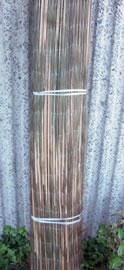 FP-RFF-6 (Wrapped)