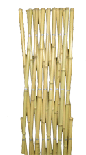 Bamboo Trellis (Closed)