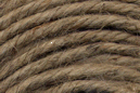 NJT3