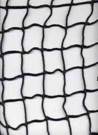 Fish Net