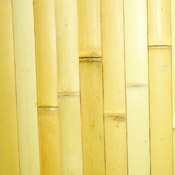 Bamboo Tambour Paneling - Natural Yellow