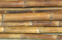 Calcutta bamboo blanks Clearance