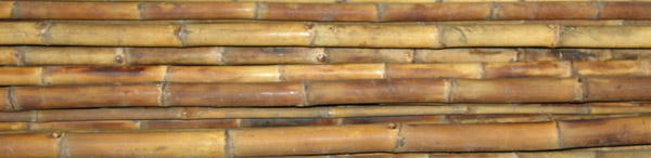 BPCA