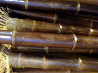 Bamboo Stakes or Bamboo Cane Pole Cheap Price Bamboo Pole - China