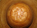 Bamboo Bark