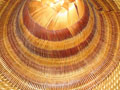 Bamboo Bark