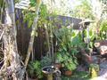 Bamboo: Fence - Black