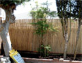 Bamboo: Fence - Yellow