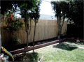 Bamboo: Fence - Yellow