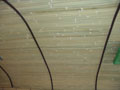 Bamboo Tambour