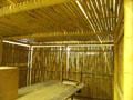 Bamboo: Timber - Yellow