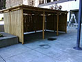 Bamboo: Timber - Yellow