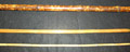 Tortoise Bamboo