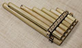 Yellow-Green Bamboo