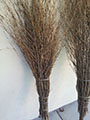 Branch Fencing