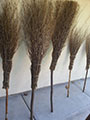 Branch Fencing