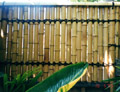 Shakuhachi Flute
